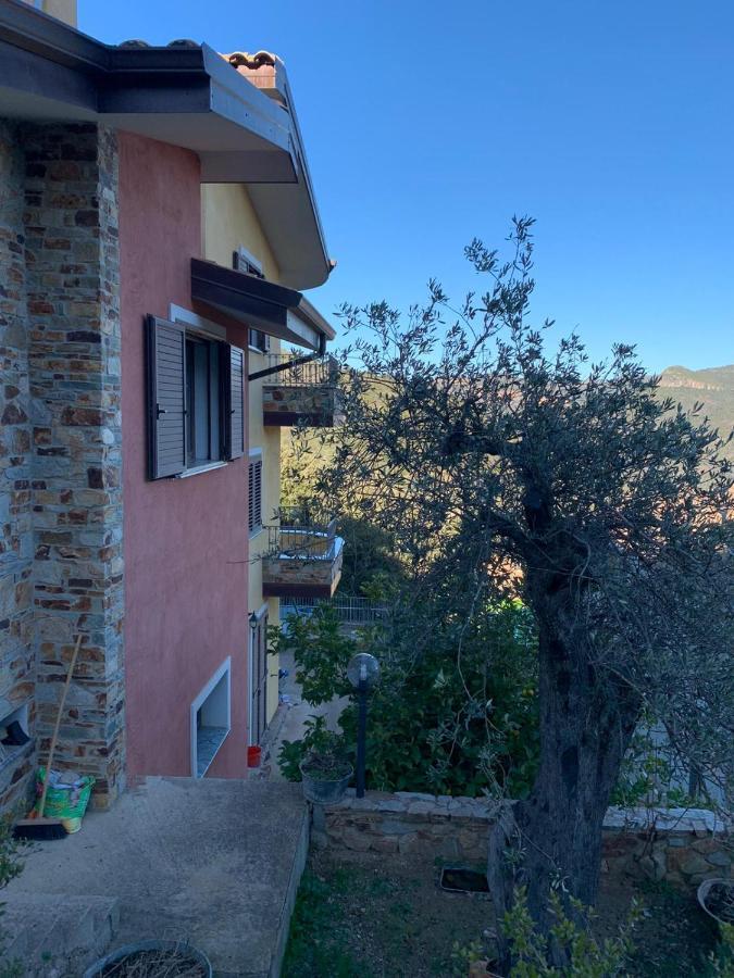 Il Vecchio Ulivo Sa Tanca Panzió Ussàssai Kültér fotó